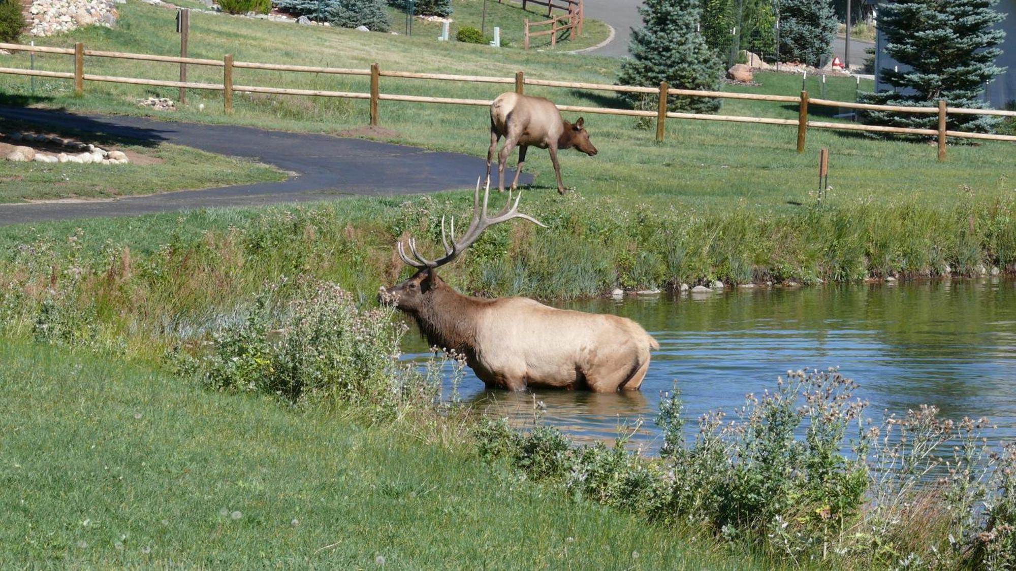 Discovery Lodge Estes Park Dış mekan fotoğraf
