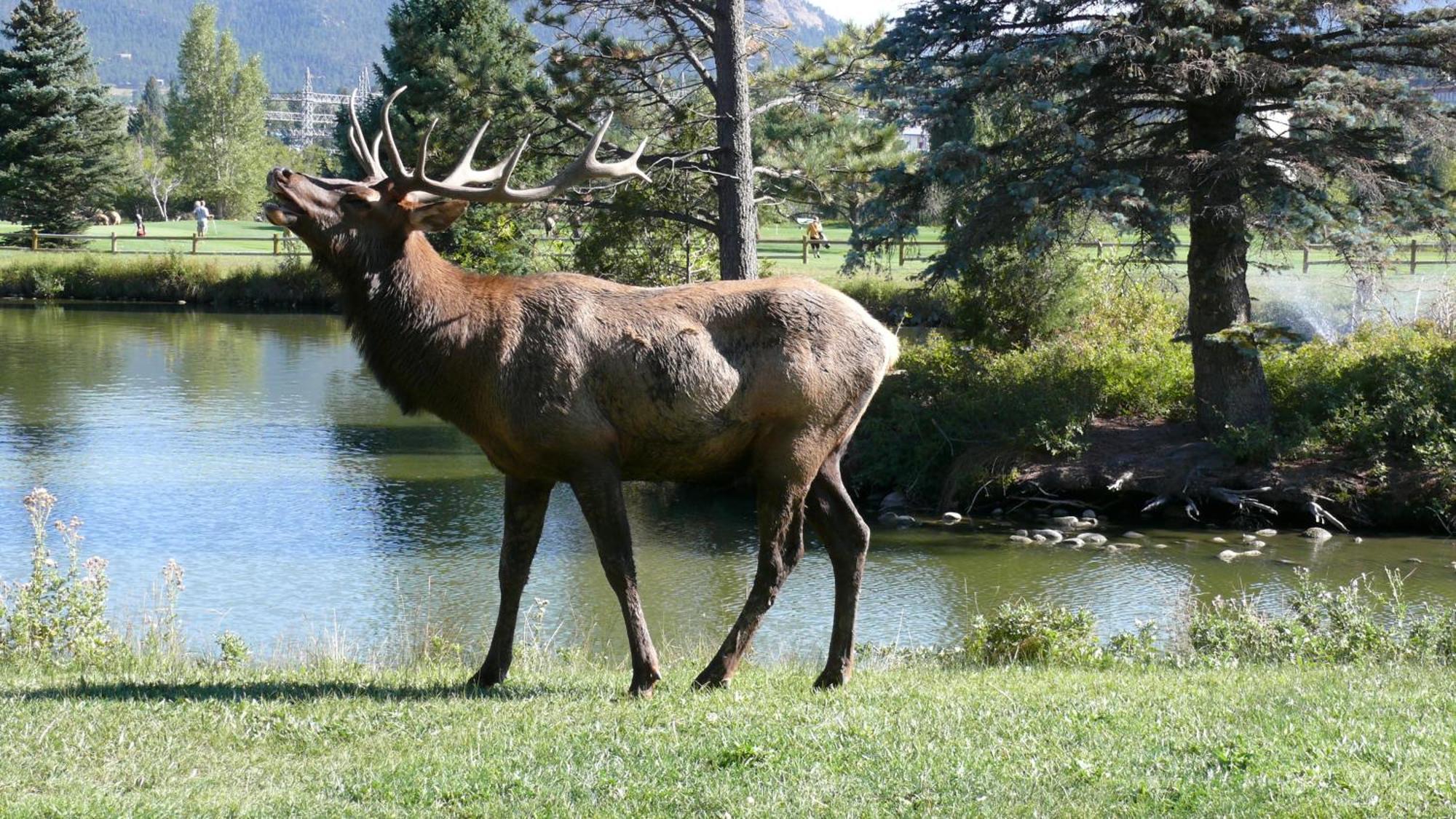 Discovery Lodge Estes Park Dış mekan fotoğraf